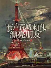 布卢瓦城来的漂亮朋友简介