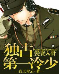 爱妻入骨独占第一冷少直上青云TXT