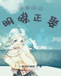 追婚记演员介绍