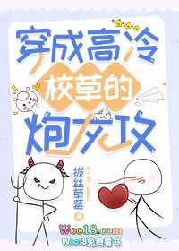 穿成高冷校草的炮灰攻番外