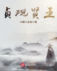 贞观贤王女主角