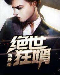 绝世狂婿之狂飙归来