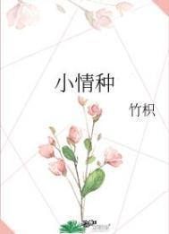 小情种竹枳txt