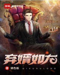 弃婿如龙陆羽与陈玉瑶免费阅读