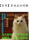 穿成反派的猫格格党