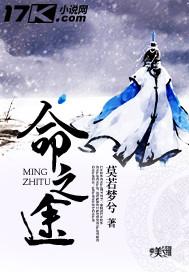命之途境界等级
