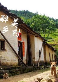 醉美乡村襄城店电话