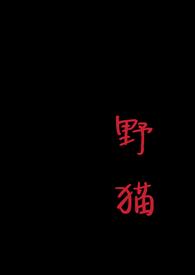 野猫和小燕子的故事